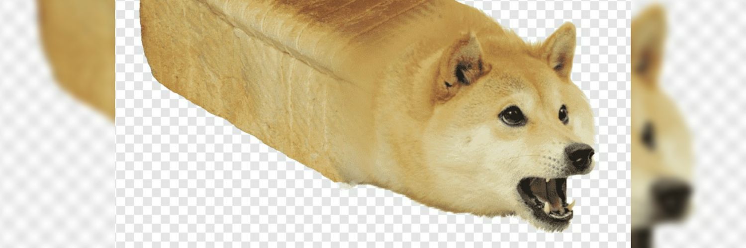 HadrienGonzales's profile banner image