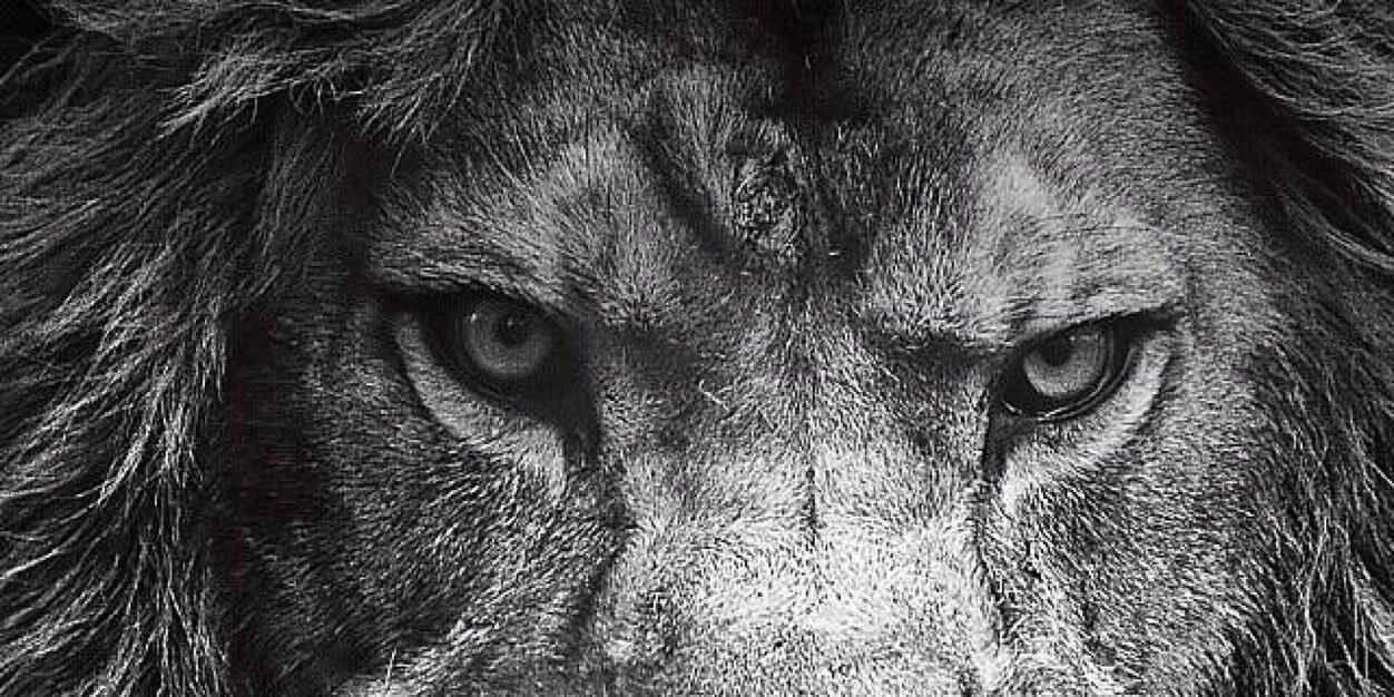 StuJitsu613's profile banner image