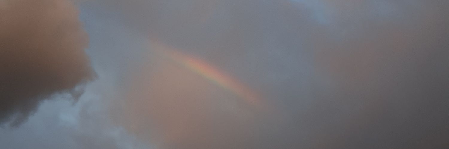 liormartins's profile banner image