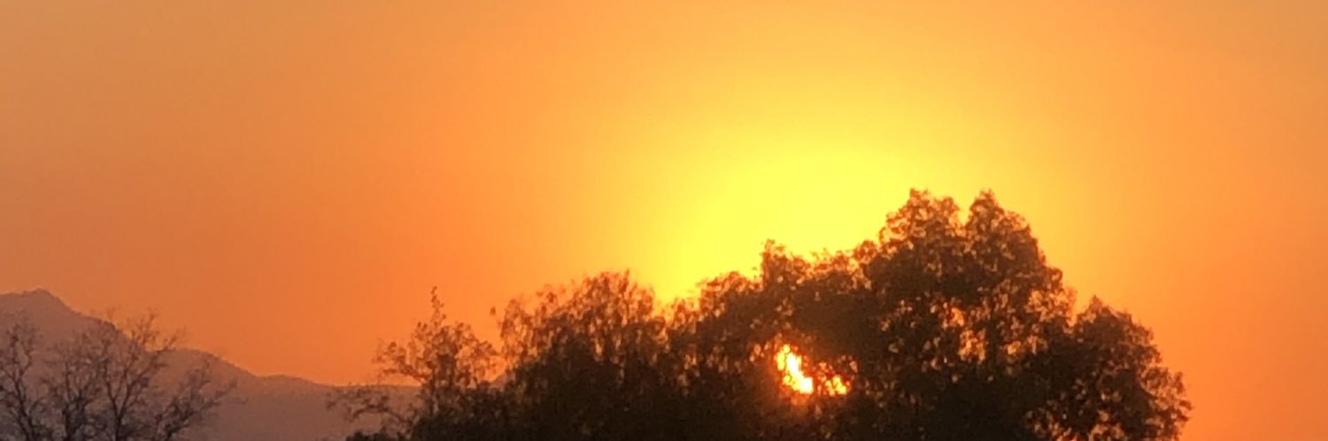 A D R I S banner