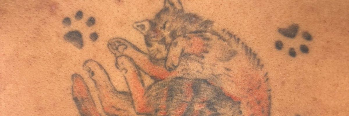 vanessadecarlem's profile banner image