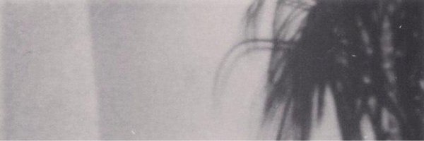 GREAFER Profile Banner