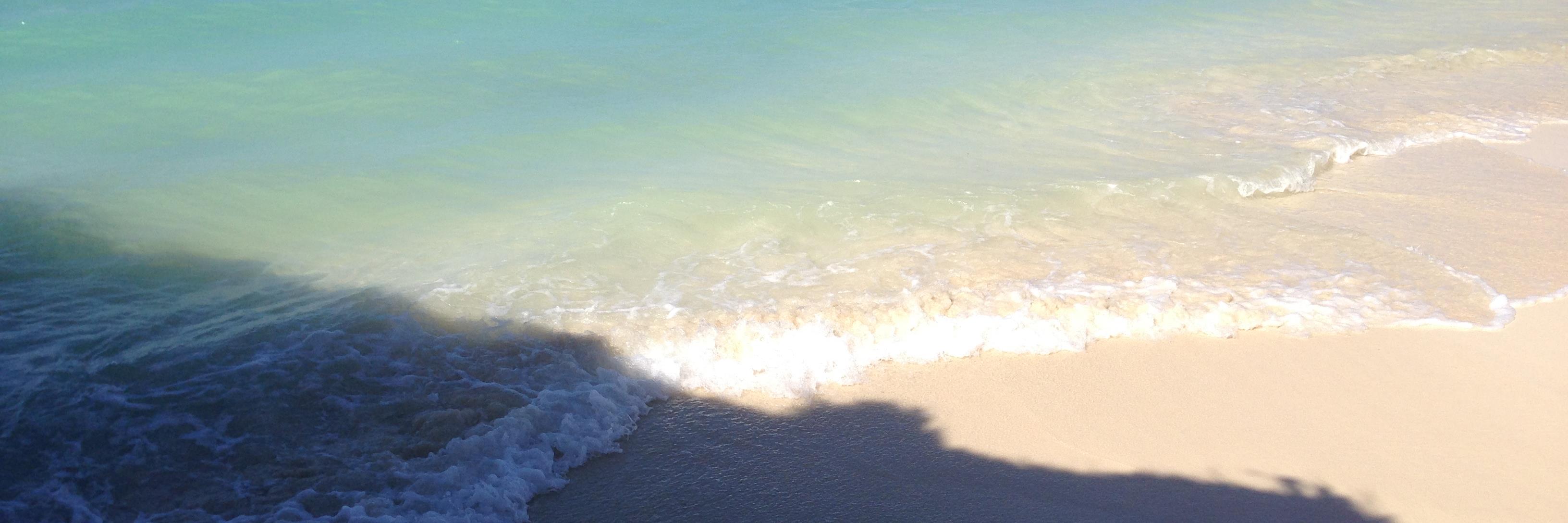 livehands's profile banner image