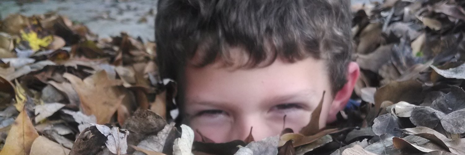 sachase's profile banner image