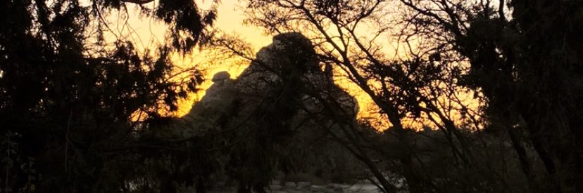 green_baai's profile banner image