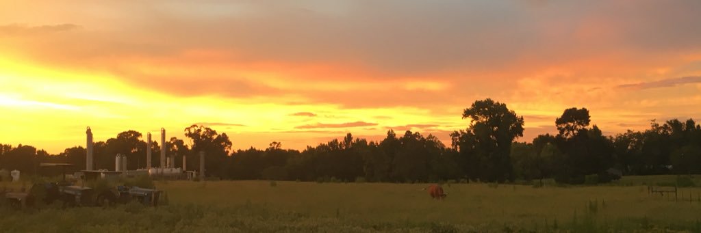 John B. 🥋🔪🩸 banner