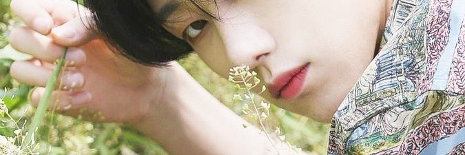 bweechan's profile banner image