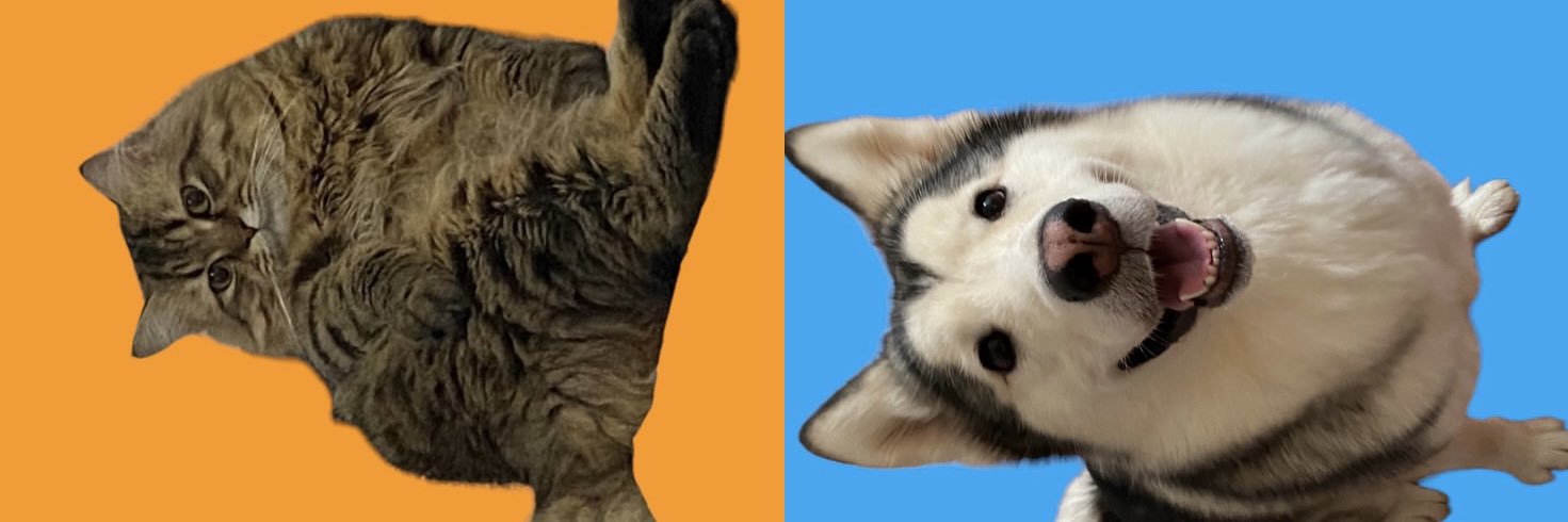 mauddy's profile banner image