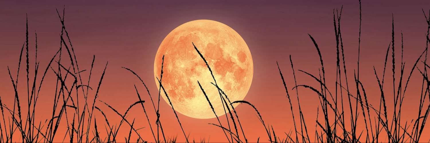 mrsbynum06's profile banner image