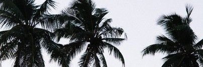 EriccaTaylor's profile banner image
