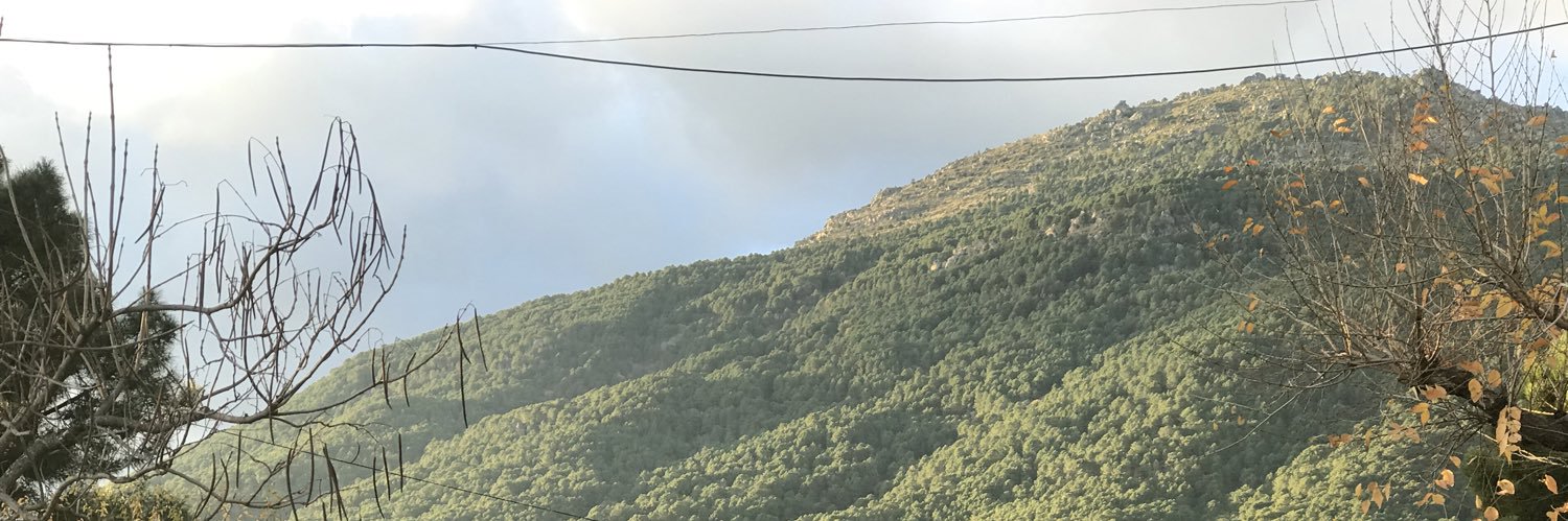 DiracGon's profile banner image