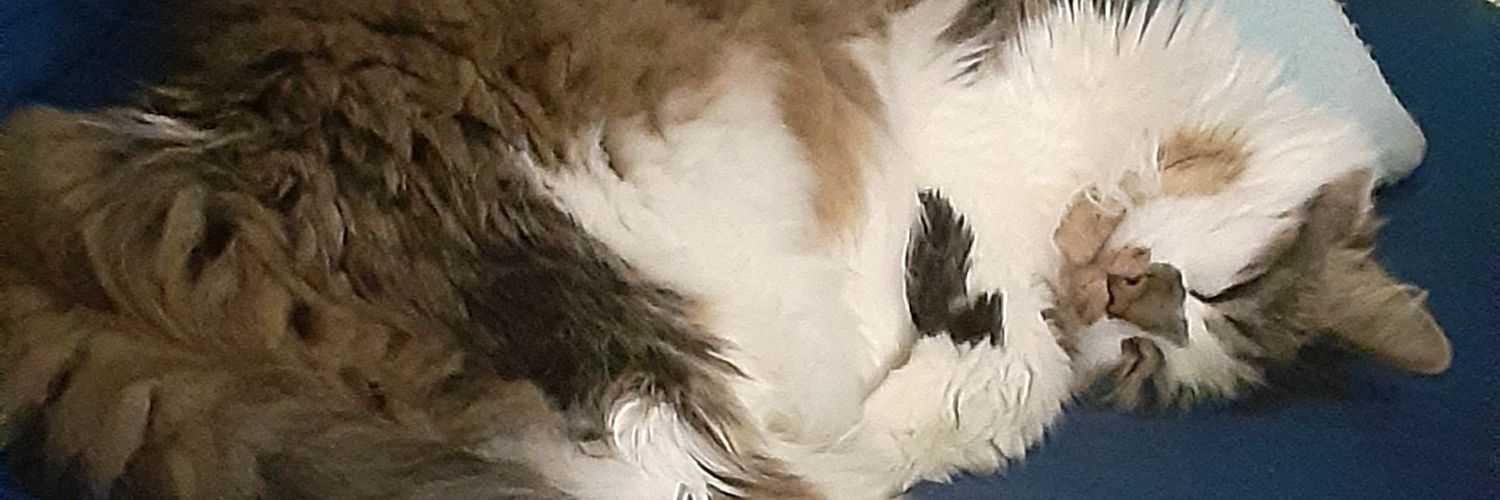 Chaswi59's profile banner image