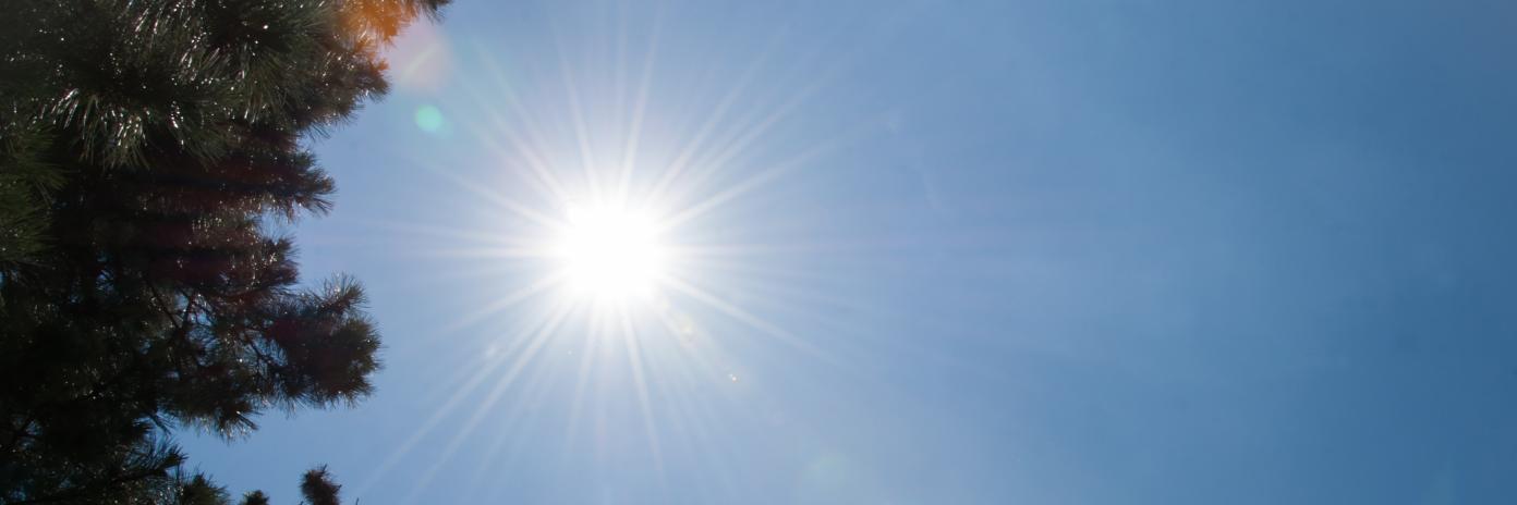 Leanne McCullough banner