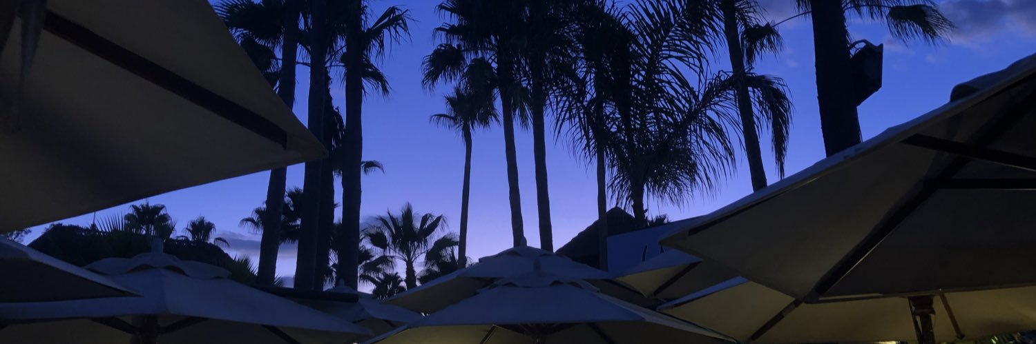 bonobodem's profile banner image