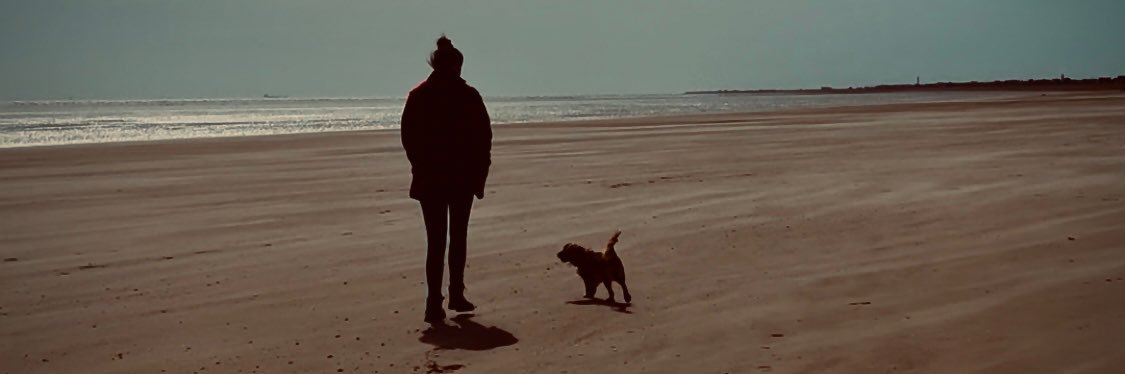 KimPoynter's profile banner image