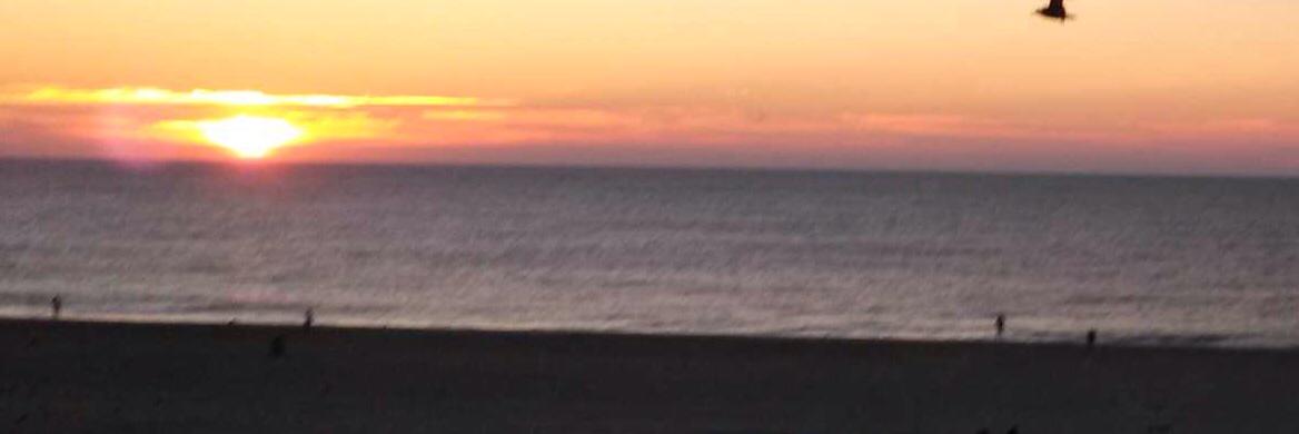 1oldpe's profile banner image