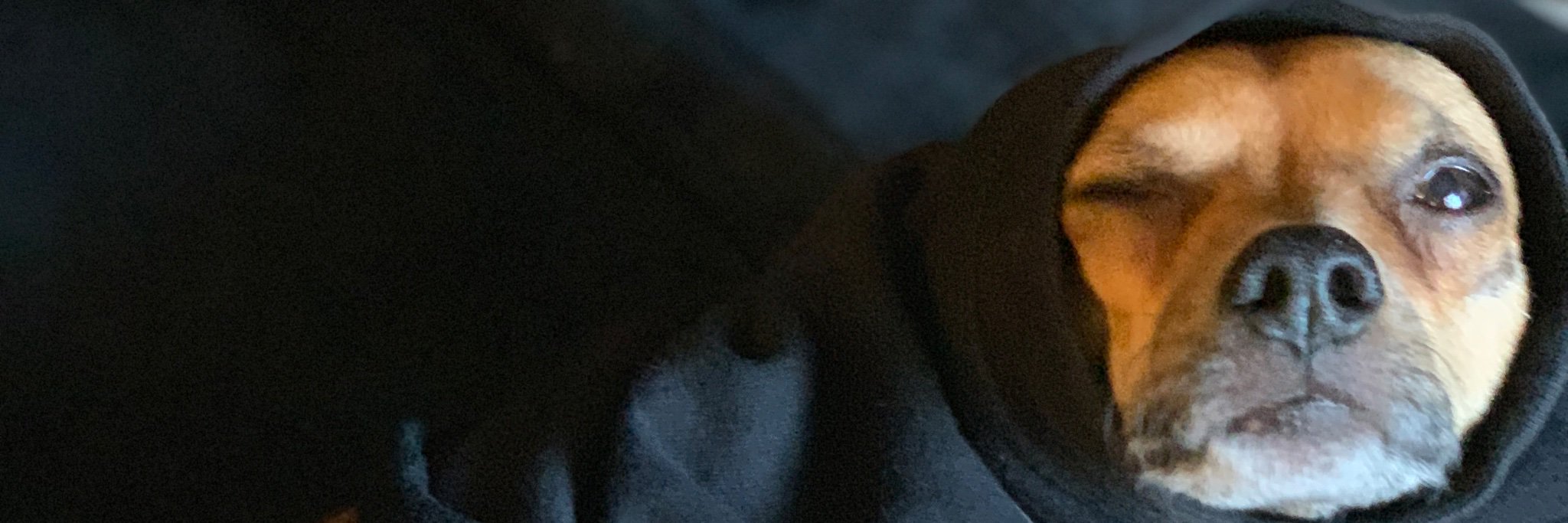 ryonsworld's profile banner image