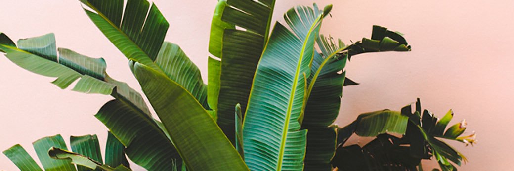 _alexxib's profile banner image