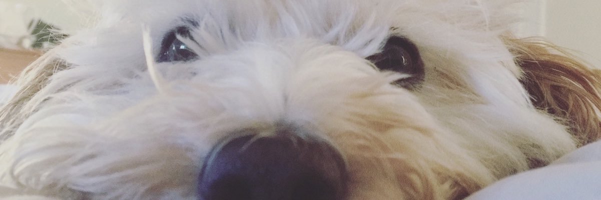 HelenaColemanx's profile banner image