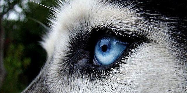 JulieBizarre's profile banner image