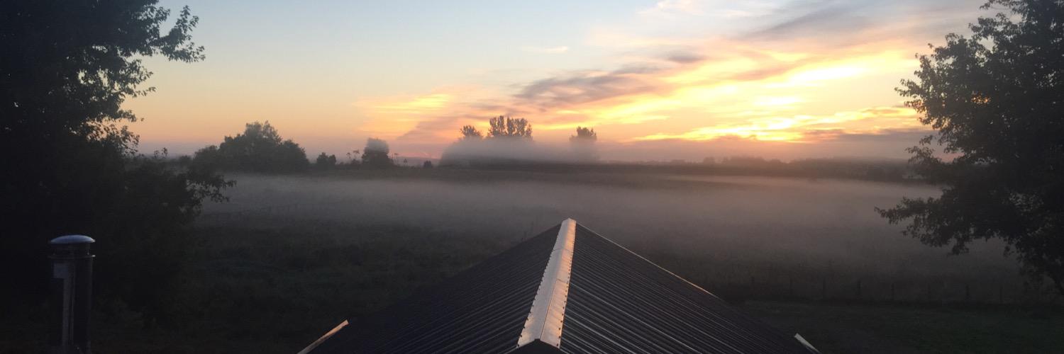 Diana Martin (she/her) banner