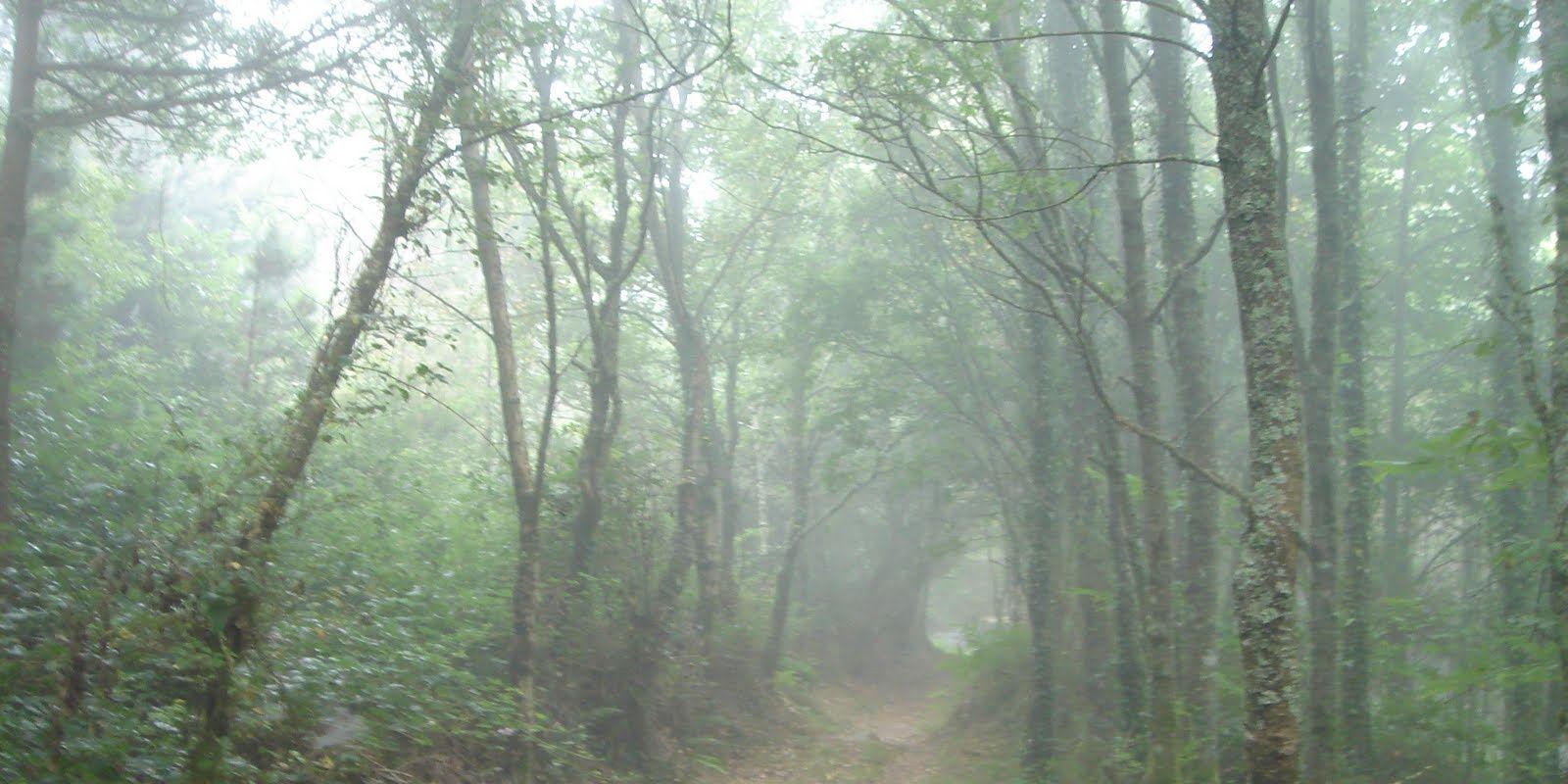 aortizlora's profile banner image