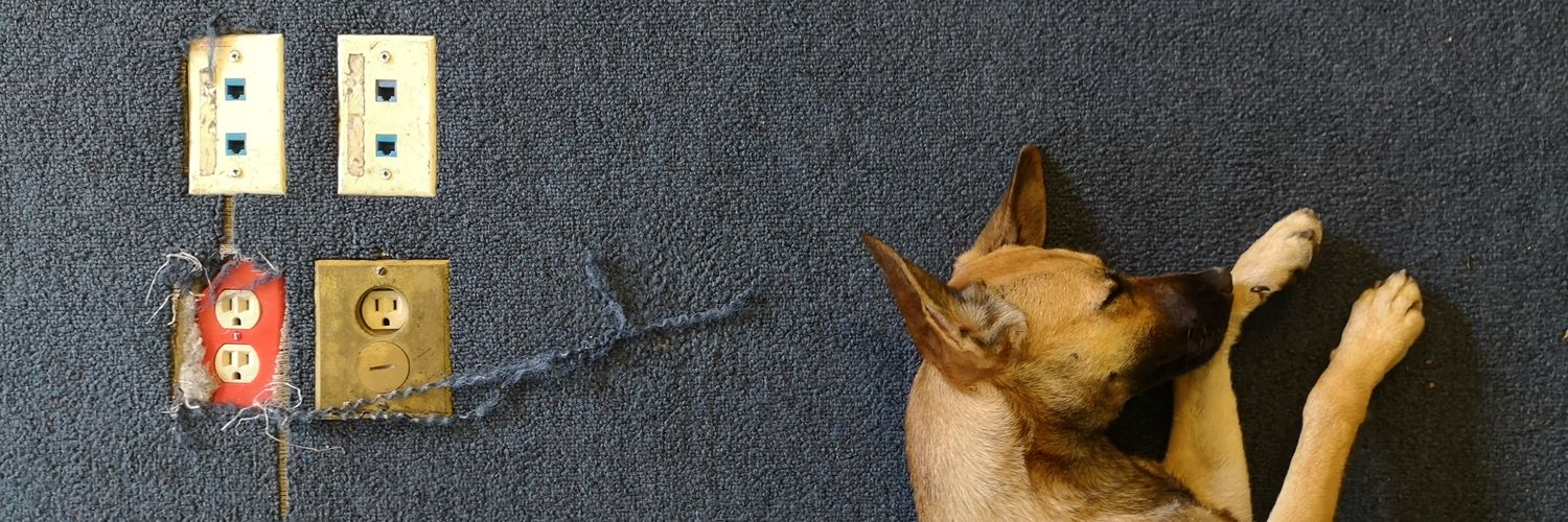 Yessihompa's profile banner image