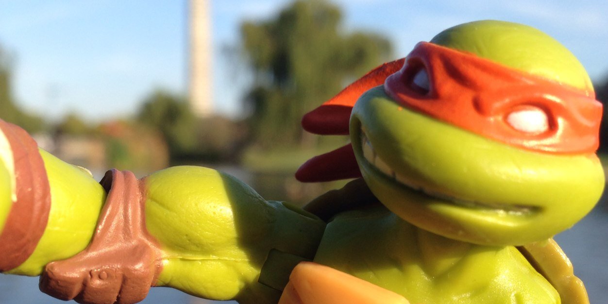 shenniexp's profile banner image