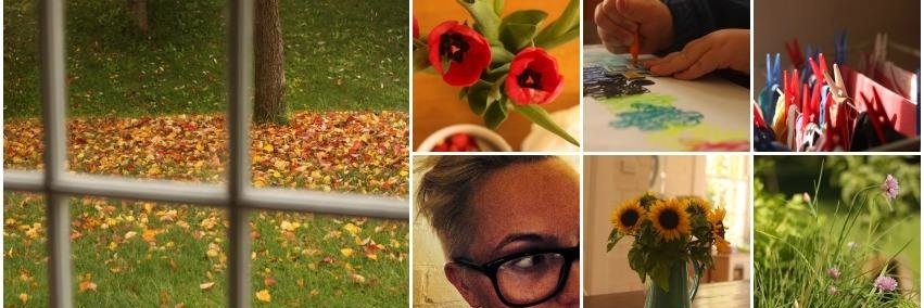 Beth Macdonald banner