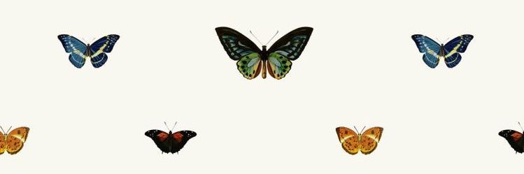 Malena banner
