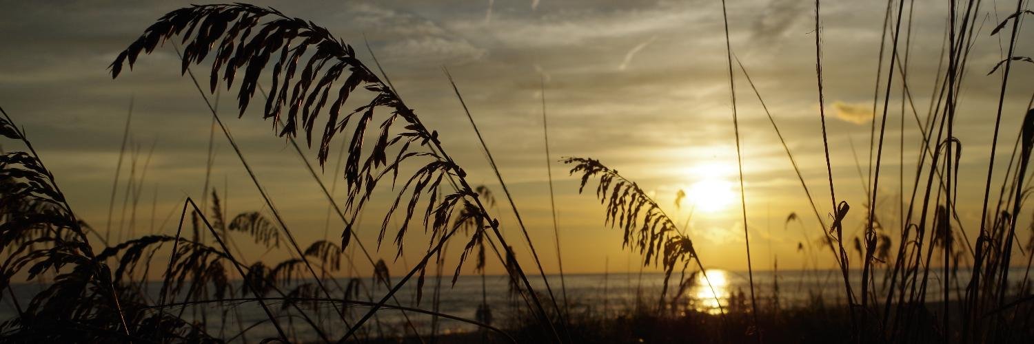 Donna Molinek banner