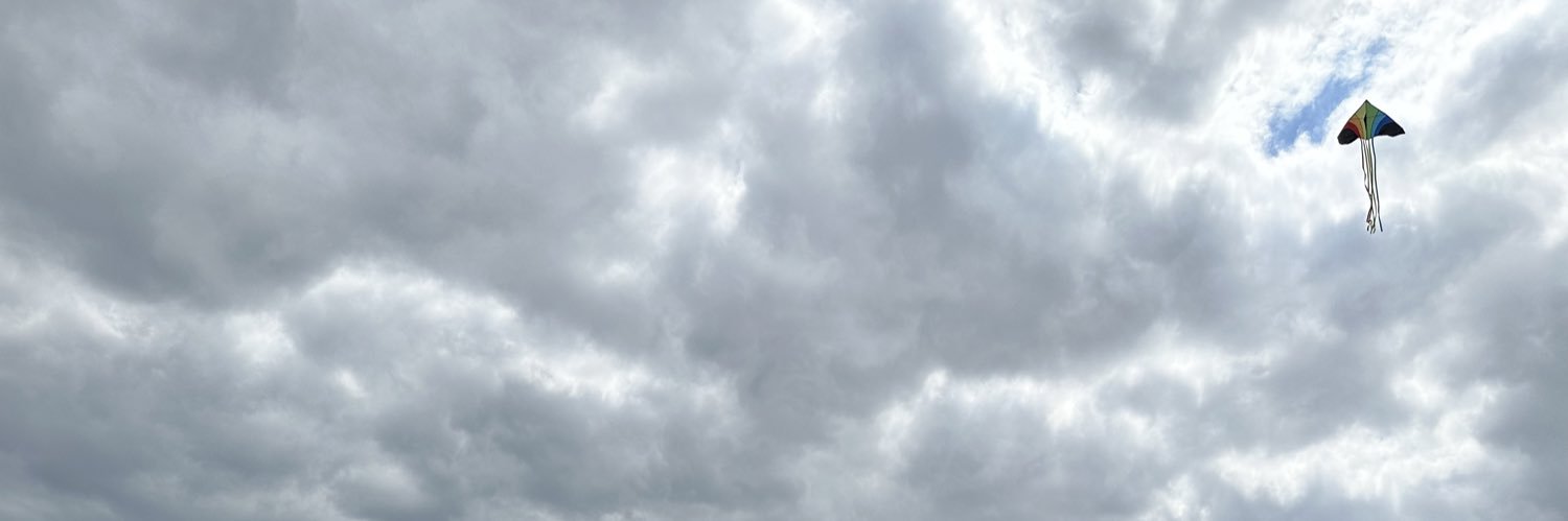 graybasil's profile banner image