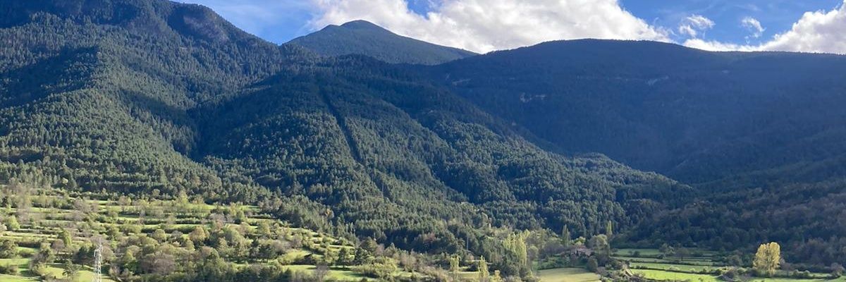 r_tomas's profile banner image