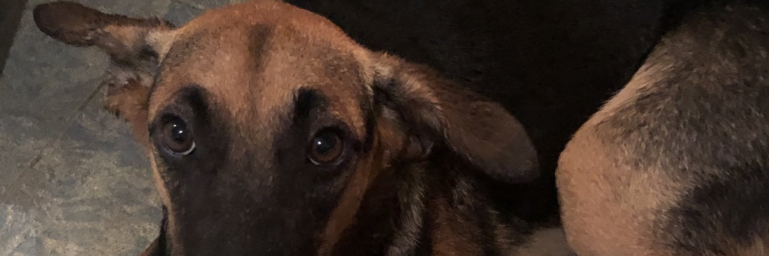 Isamirasc's profile banner image