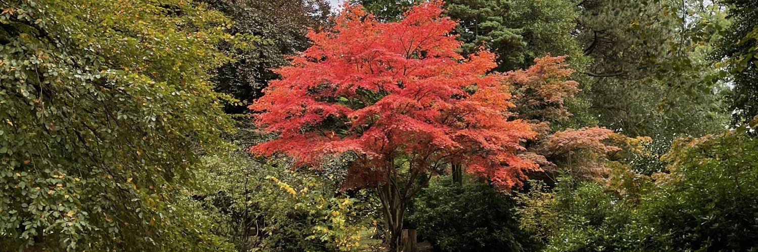 ML_Wood's profile banner image