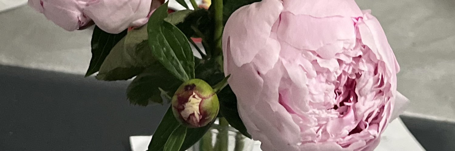 MemiSays's profile banner image