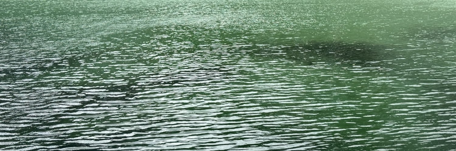 0m1lo5's profile banner image