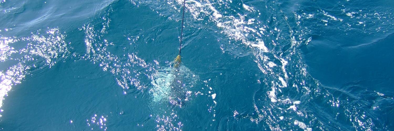 Fulweiler Lab banner