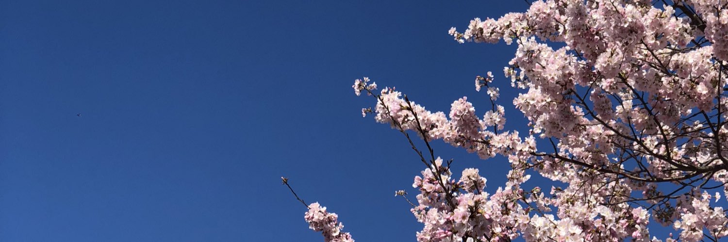 starf0xx's profile banner image