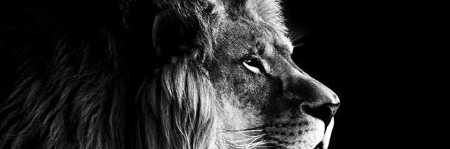 claretblzo's profile banner image