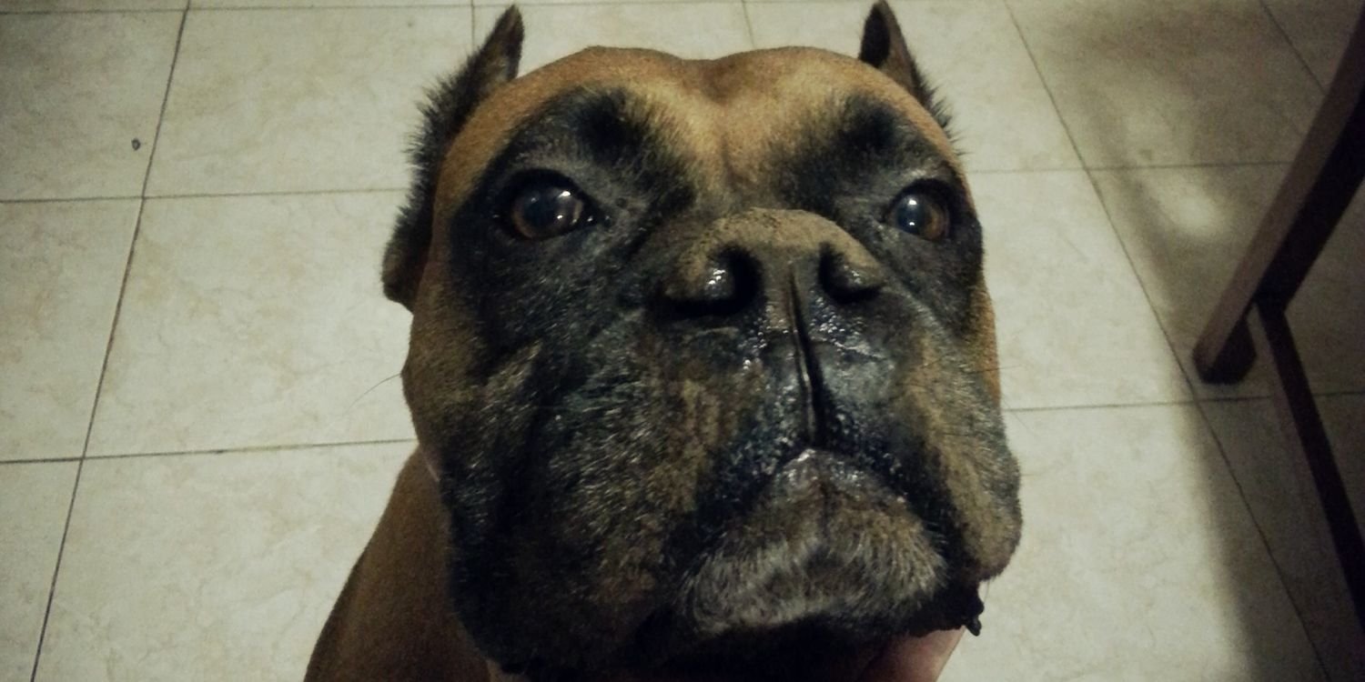 Edu_May's profile banner image