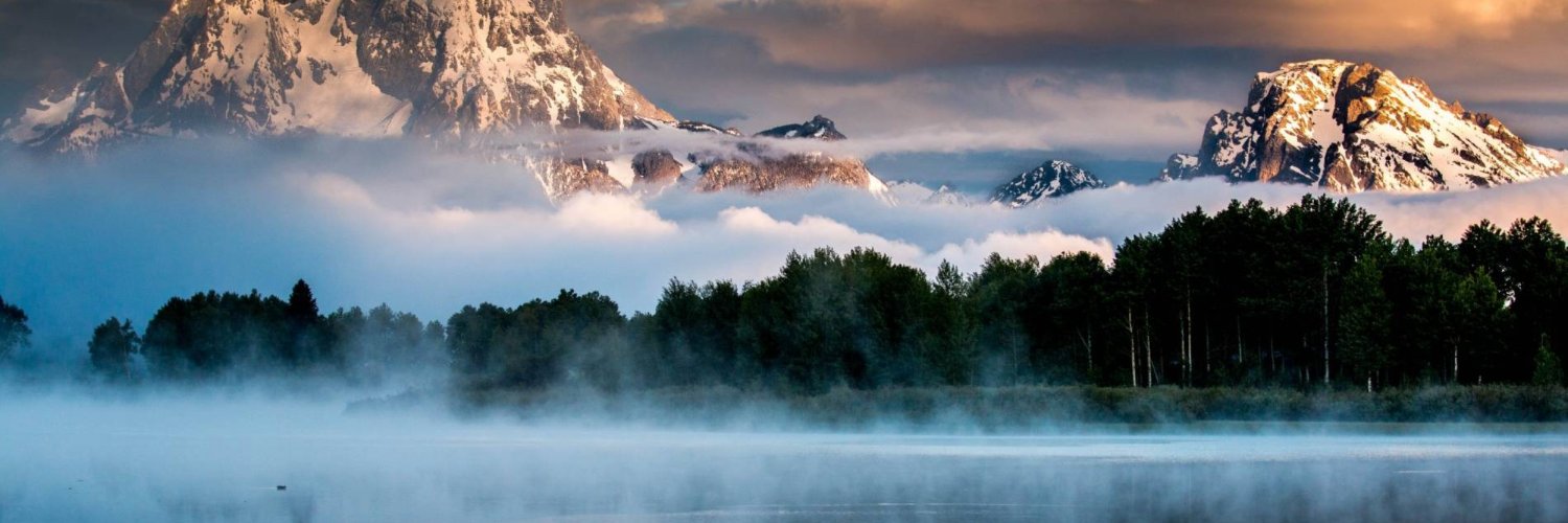 Todd M Johnson banner