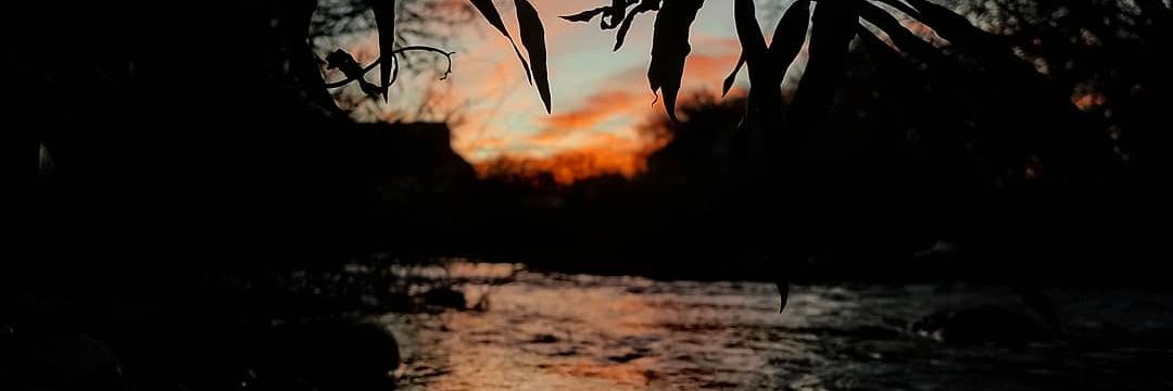 Elsa Leticia Romero banner