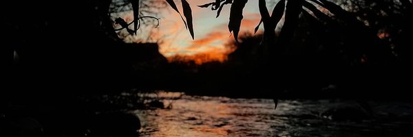 ElsaLeti Profile Banner