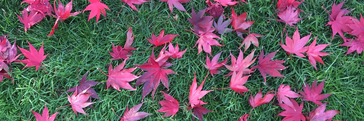 A Robustelli-Price banner