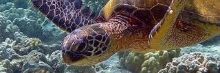 fallsw's profile banner image