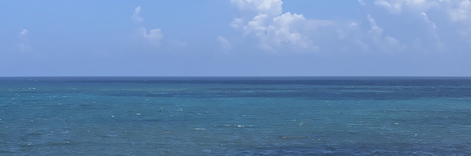 criscarvallo's profile banner image