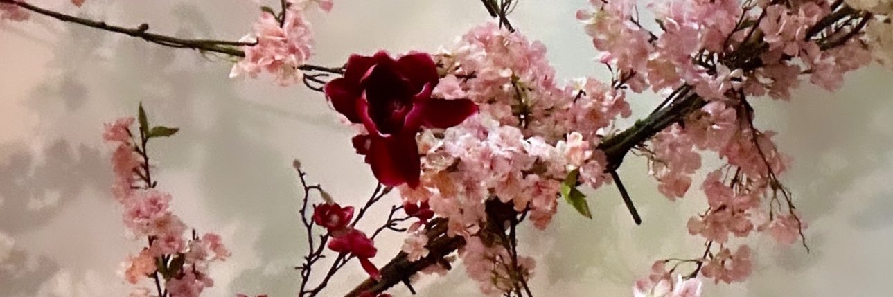 ShandaSoundsOff's profile banner image