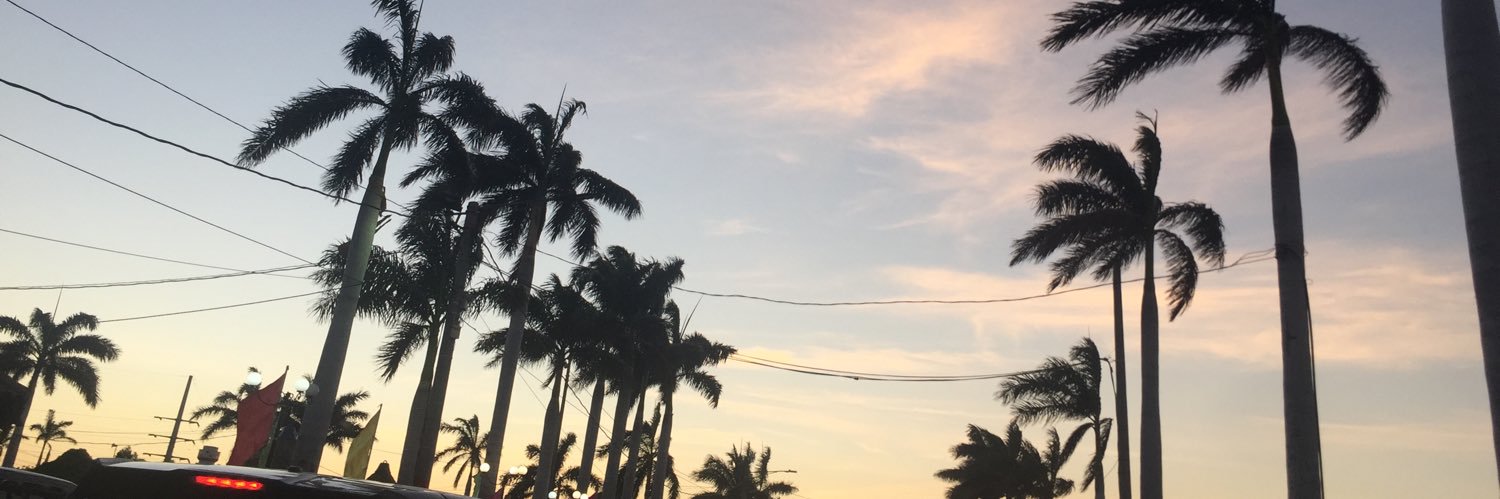 IvonCarias's profile banner image