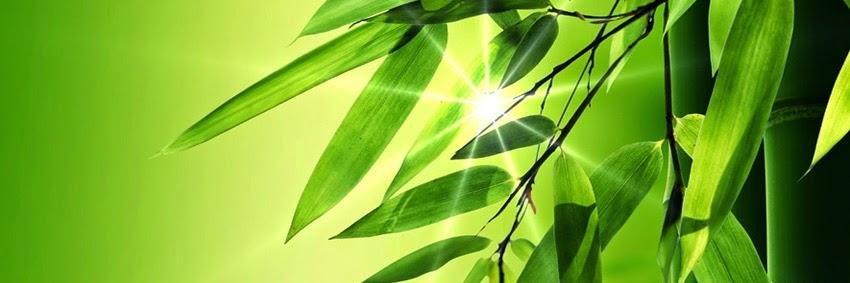 mmlydrh's profile banner image